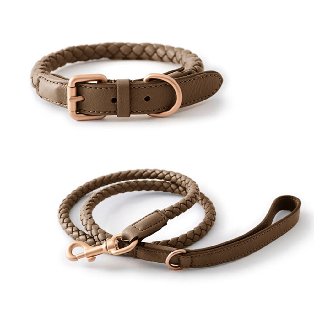 Collier et laisse pour chiot en faux cuir tissé à la main, ensemble de promenade pour chien