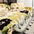 Ice Cream Wavy Chenille Scratch-Resistant Sofa Blanket Sofa Cover