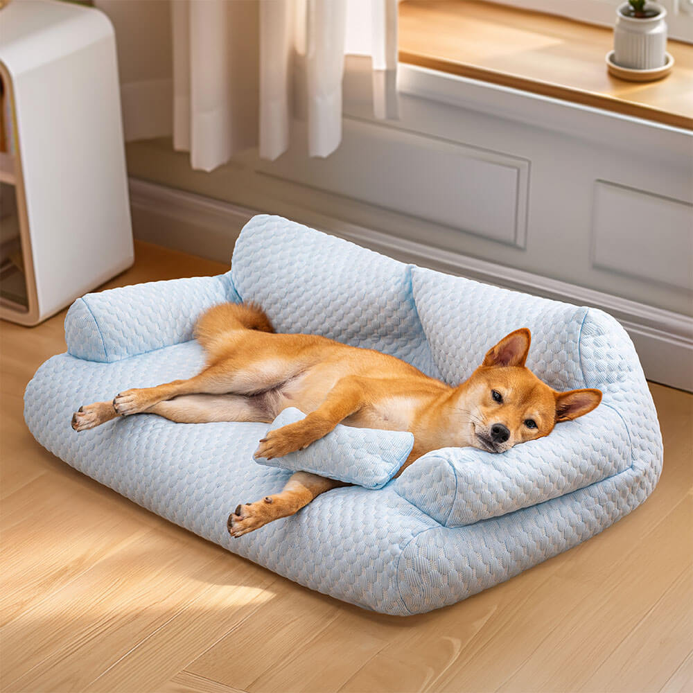 Dog bed best best sale