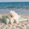 Large Cooling Breathable Non-Slip Orthopedic Dog Bed