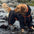 Large Dog Outdoor Jacket Waterproof Adjustable Dog Rain Coat