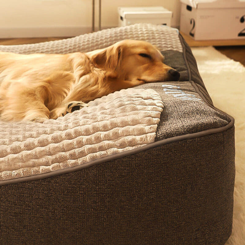 Grand lit de coussin pour chien, personnalisé, épais et résistant aux rayures, Protection de la colonne vertébrale