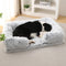 Long Plush - Lit pour chien à sommeil profond à support carré