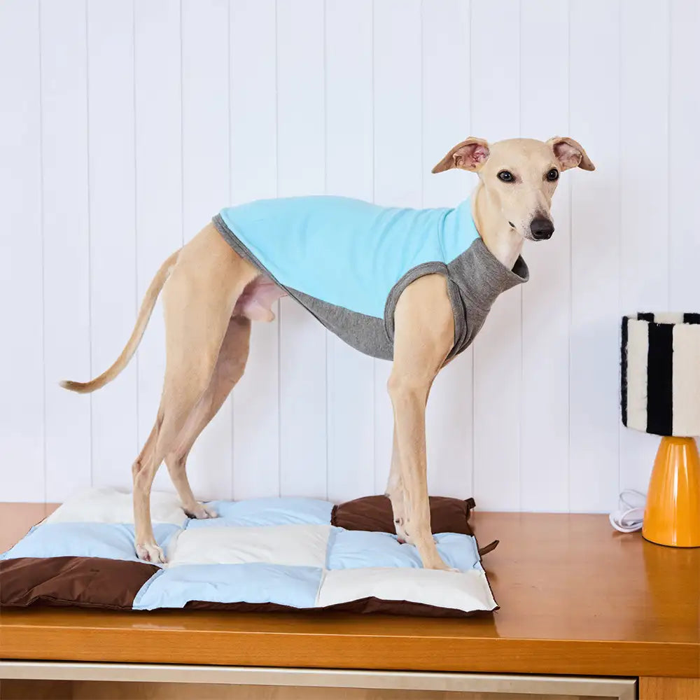 Macaron Color Water-Repellent Multi-Purpose Dog Mat