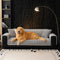 One-Piece Cozy Flannel Sofa Protection Non-Slip Sofa Cover