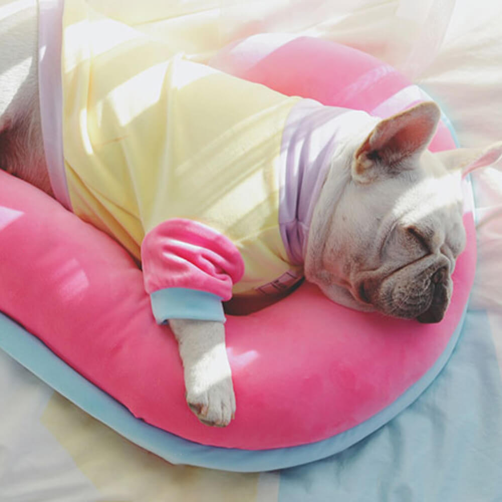Oreiller orthopédique de soutien de la colonne vertébrale, oreiller de sommeil pour chien