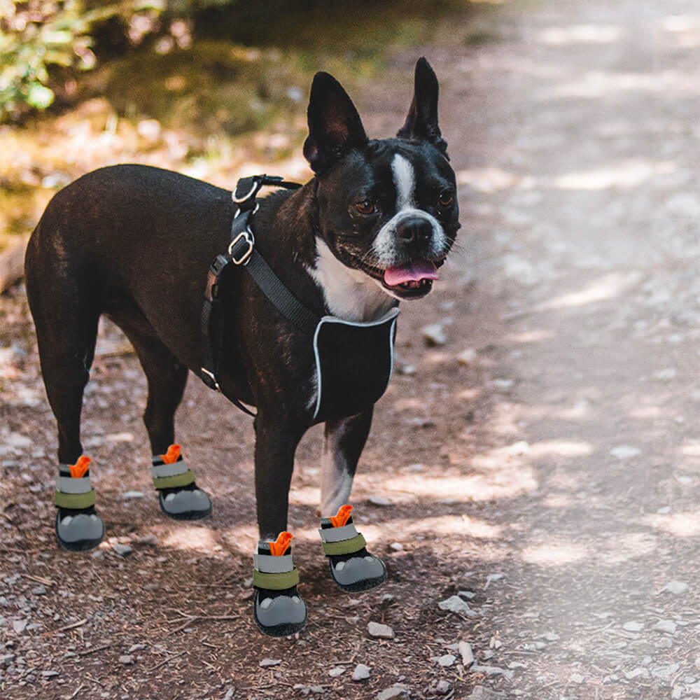 Outdoor Breathable Hiking Running Anti-slip Dog Shoes