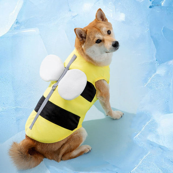 Vêtements de Protection solaire pour animaux de compagnie, Sports de plein air, accessoires pour chiens Cool, gilet rafraîchissant