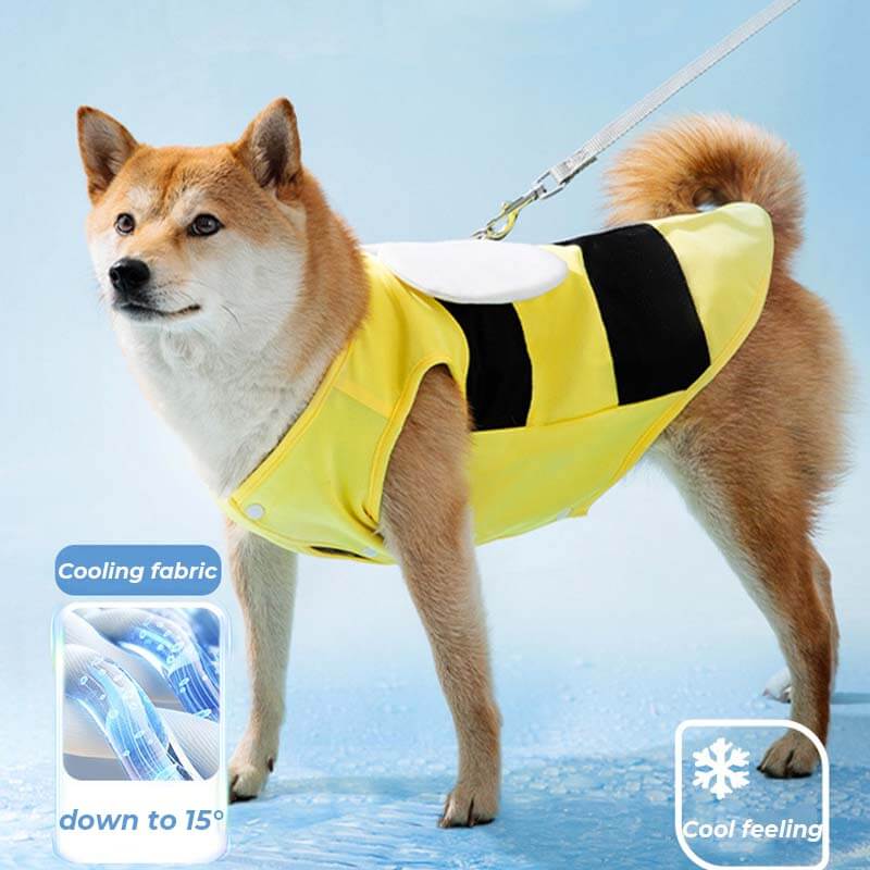 Vêtements de Protection solaire pour animaux de compagnie, Sports de plein air, accessoires pour chiens Cool, gilet rafraîchissant