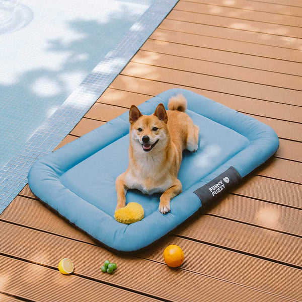 Outdoor Waterproof ＆ Chew-proof Memory Foam Orthopedic Dog Mat - Trek Lounge