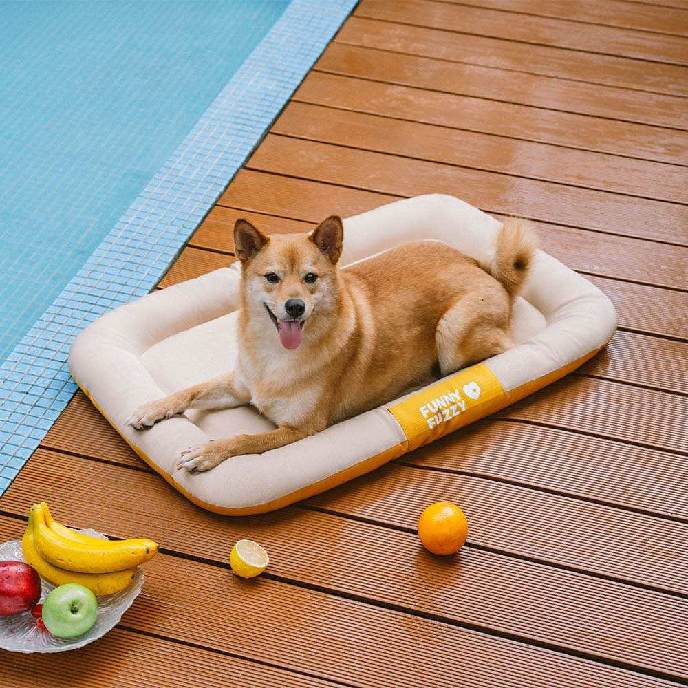 Outdoor Waterproof ＆ Chew-proof Memory Foam Orthopedic Dog Mat - Trek Lounge