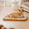 Outdoor Waterproof ＆ Chew-proof Memory Foam Orthopedic Dog Mat - Trek Lounge