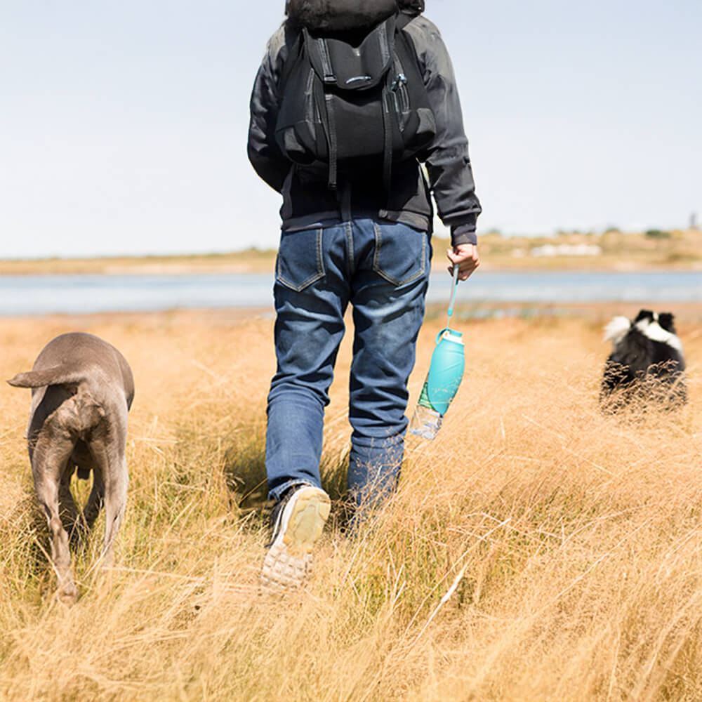 Distributeur d'eau Portable en forme de feuille pour voyage en plein air, bouteille d'eau pour chien