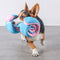 Puzzle Food Dispenser Interactive Dog Dumbbell Treat Toy
