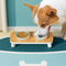 Quick-Dry Absorbent Non-Slip Pet Feeding Mat