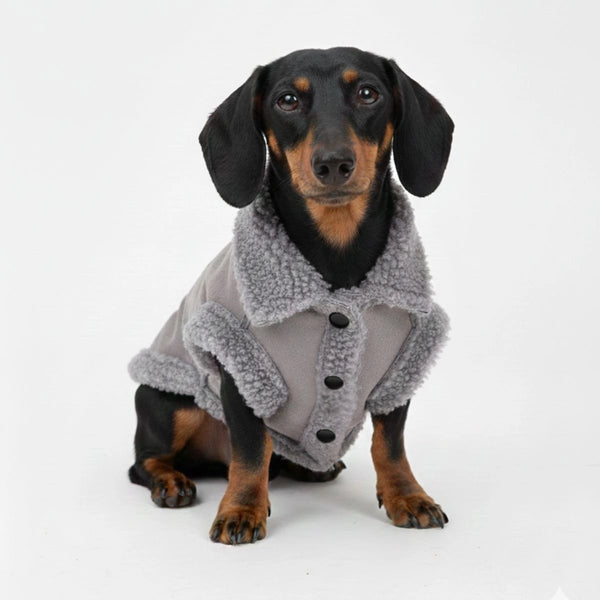 Shearling Dog Jacket – Warm and Stylish Winter Outerwear