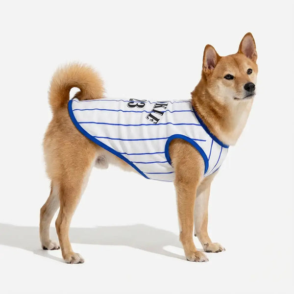 Sporty Style Breathable Dog Vest for Puppy
