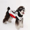 Stylish Color-Blocked Breathable Dog Vest