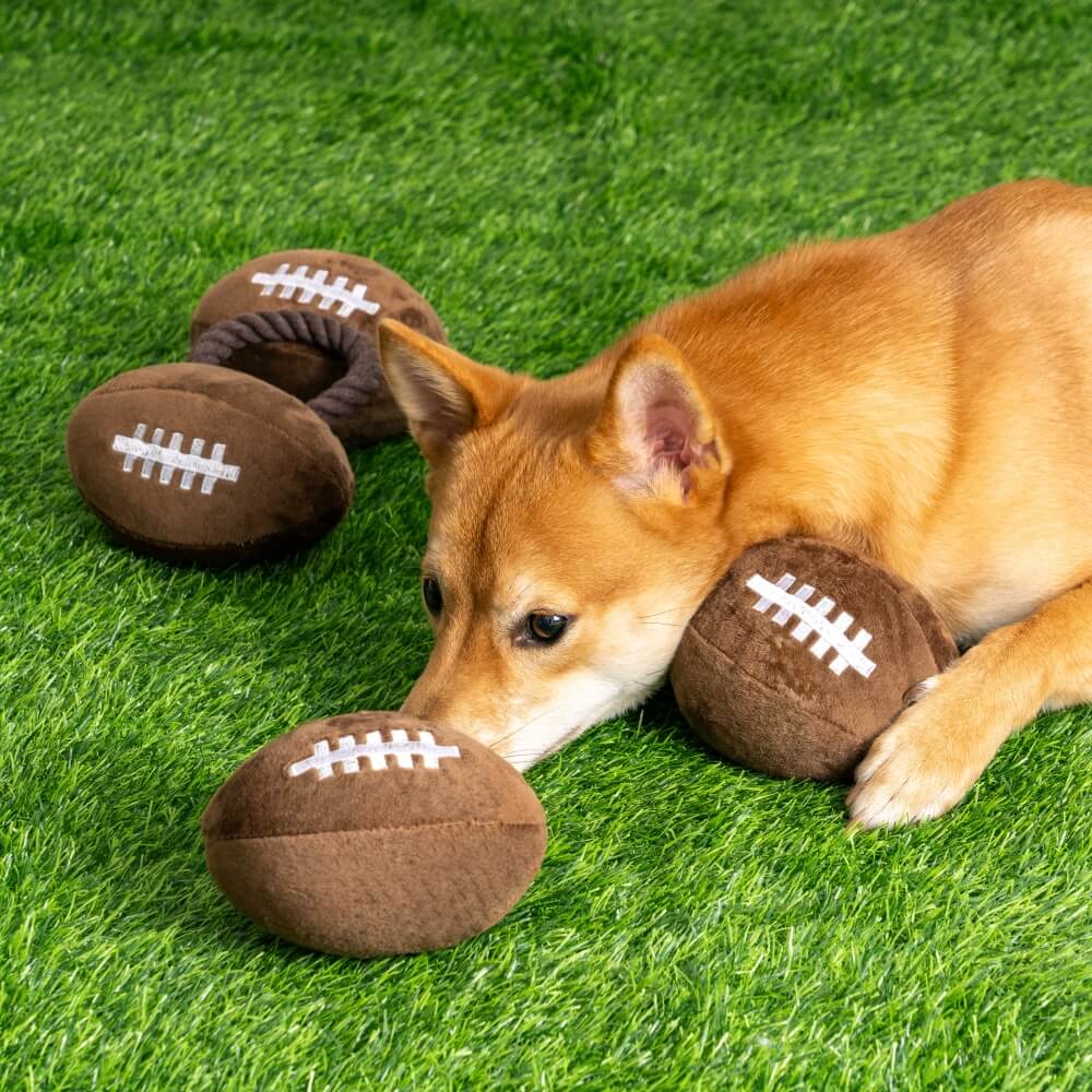 Super Bowl Peluche Rugby Football Son Jouet Chien Jouet Interactif