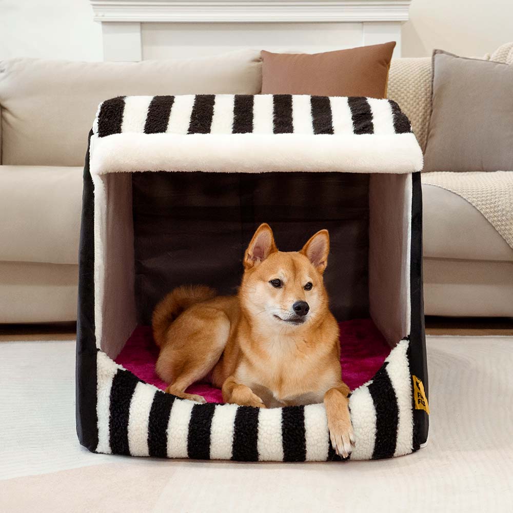 Trendy Striped House Orthopedic Dog Bed - Cozy Hideaway