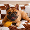 Canapé-lit pour chien extra large avec support orthopédique en échiquier vintage - Canapé King