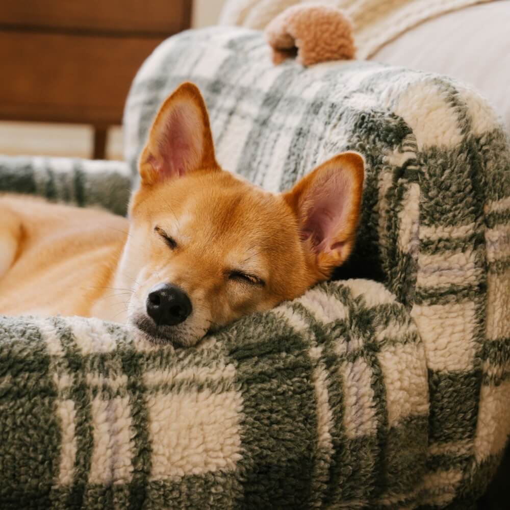 Vintage Checkered Washable Cozy Support Calming Dog & Cat Sofa Bed