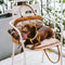 Sac de voyage multifonctionnel écologique pour animaux de compagnie Vogue - City Roamer
