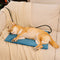 Electrical Pet Heated Pad - Waterproof＆Chewproof For Safe Warmth