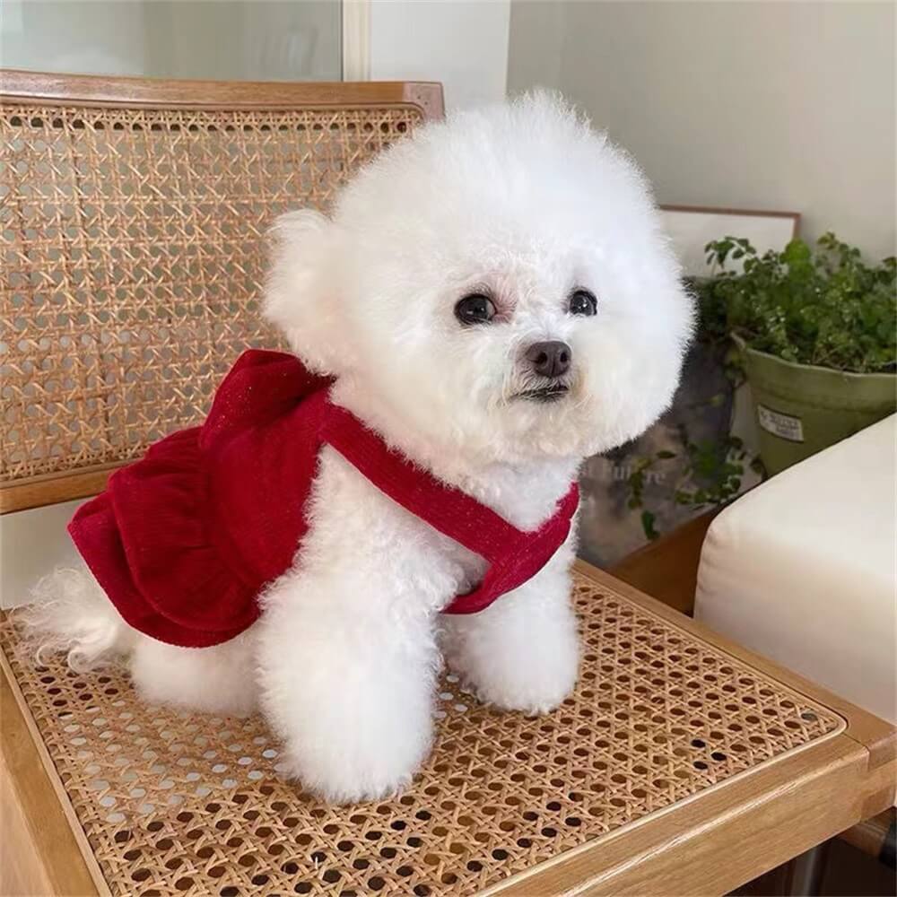 Robe pour chien en velours à nœud rouge – Parfaite pour les occasions spéciales !