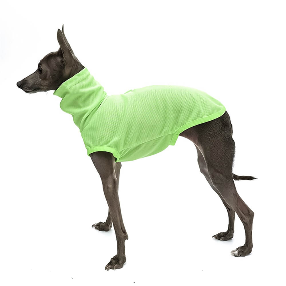 High-Visibility Lightweight Dog Turtleneck - Bright and Breathable for Outdoor Adventures