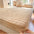 Plush Bubble Skin-Friendly Warm Fitted Sheet Mattress Cover