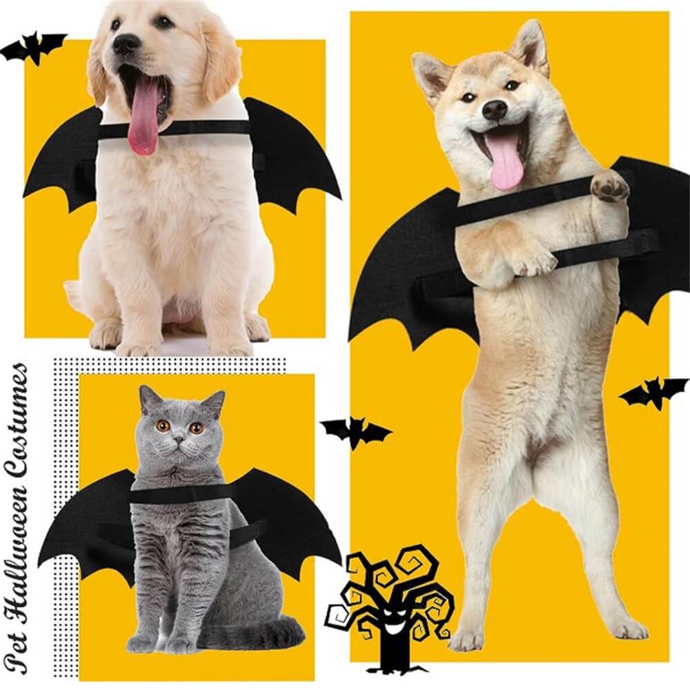 Costume d'Halloween pour chien avec ailes de chauve-souris et crâne lumineux | Accessoires de jeu de rôle pour animaux de compagnie