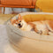 Dog Bed - Donut - FUNNYFUZZY