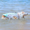 Gilet respirant pour la prévention des insolations, gilet de refroidissement pour chien imbibable dans l'eau
