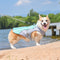 Breathable Vest For Sunstroke Prevention Water-soakable Dog Cooling Vest