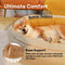 Lit orthopédique pour chien Donut