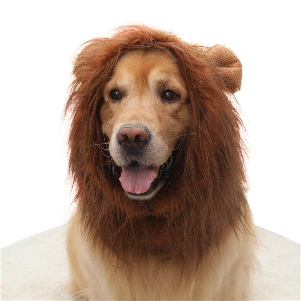 Lion Mane Dog Costume – Perfect for Halloween and Fun Occasions