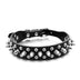 Studded Pet Cool Multicolor Collars