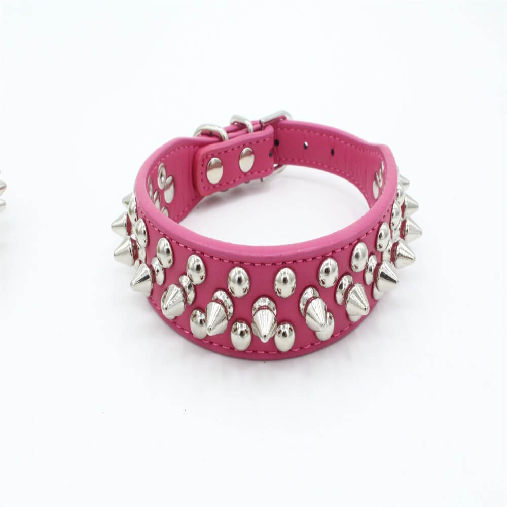 Studded Pet Cool Multicolor Collars