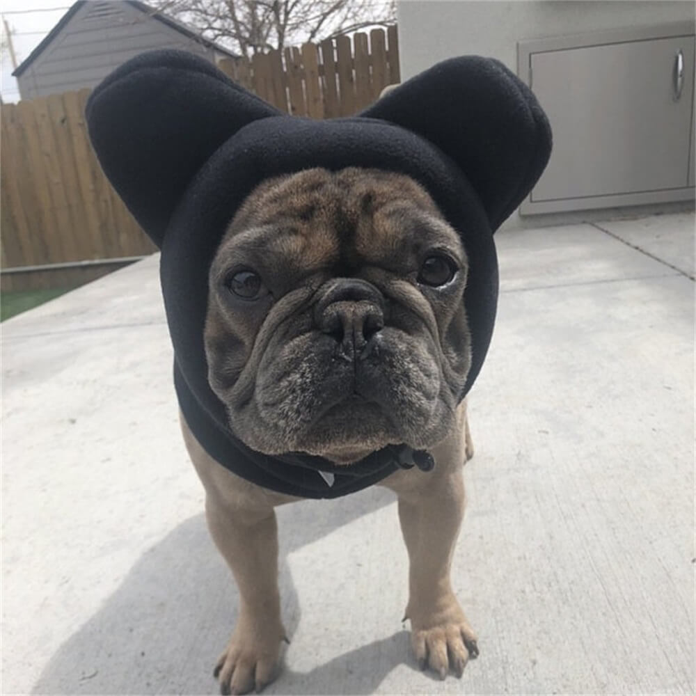 Fleece Dog Hood with Bear Ears – Fun and Cozy Winter Headwear