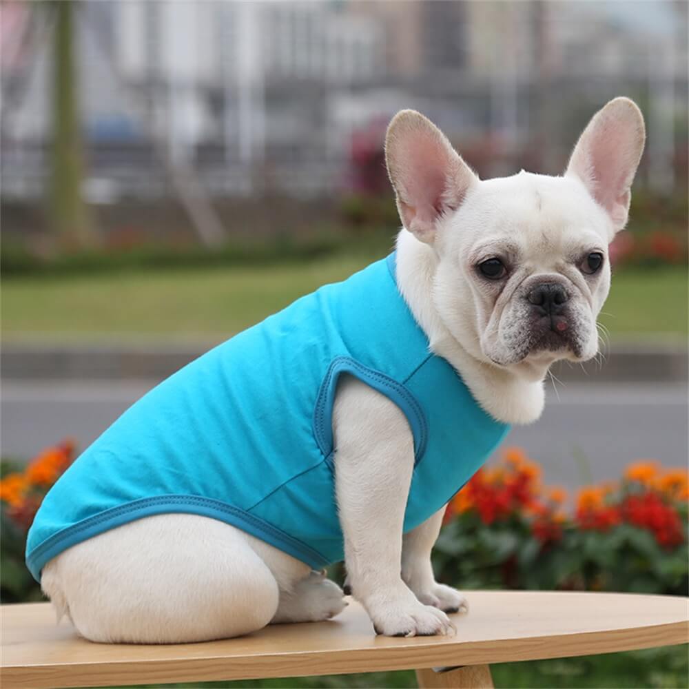 Cotton Solid Color Basic Vest Pet Clothing