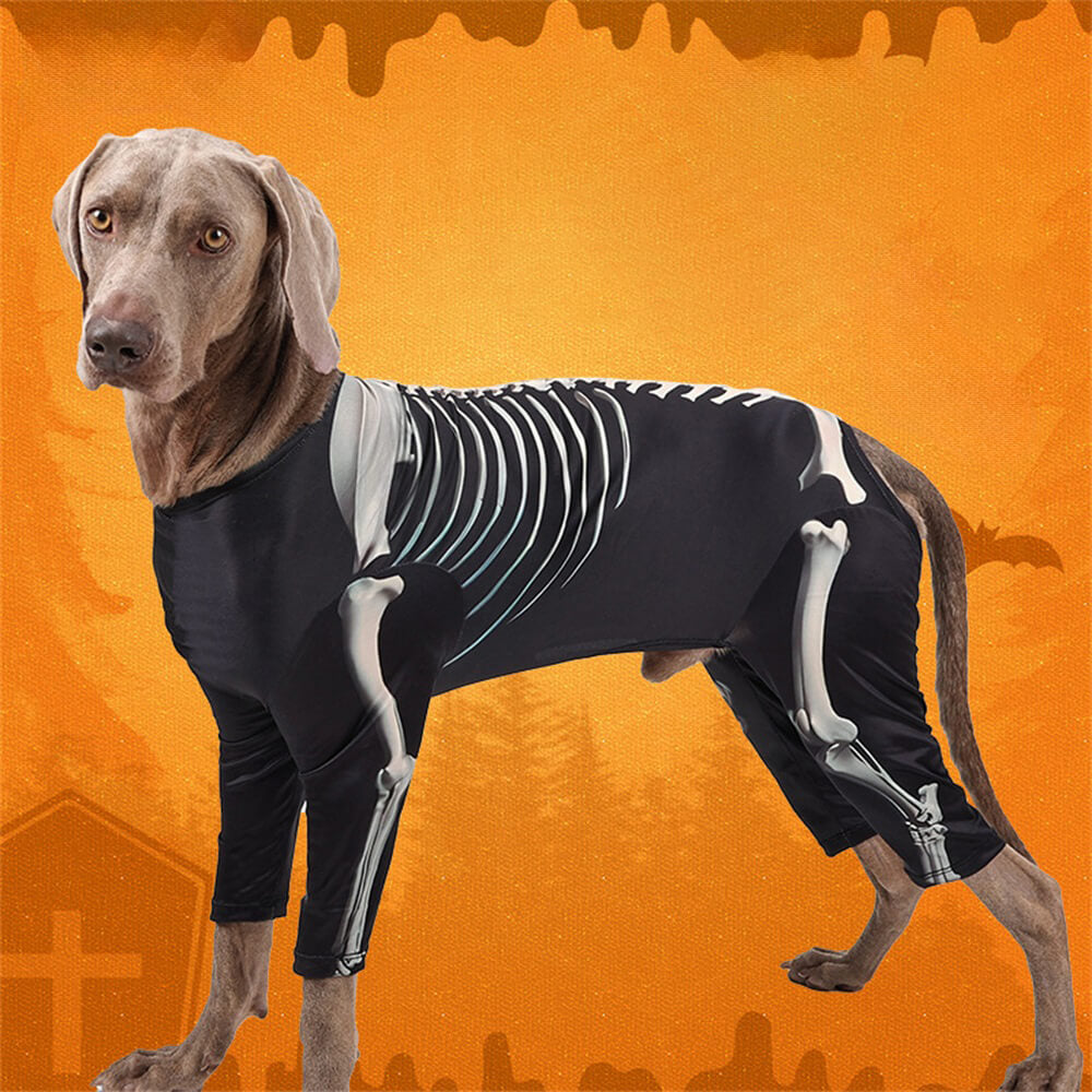 Elastic Skeleton Halloween Costume for Big Dogs