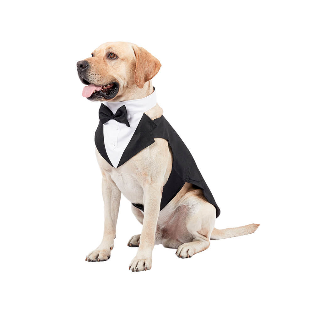 Pet Dog Clothes Wedding Bow Tie Suit Dress