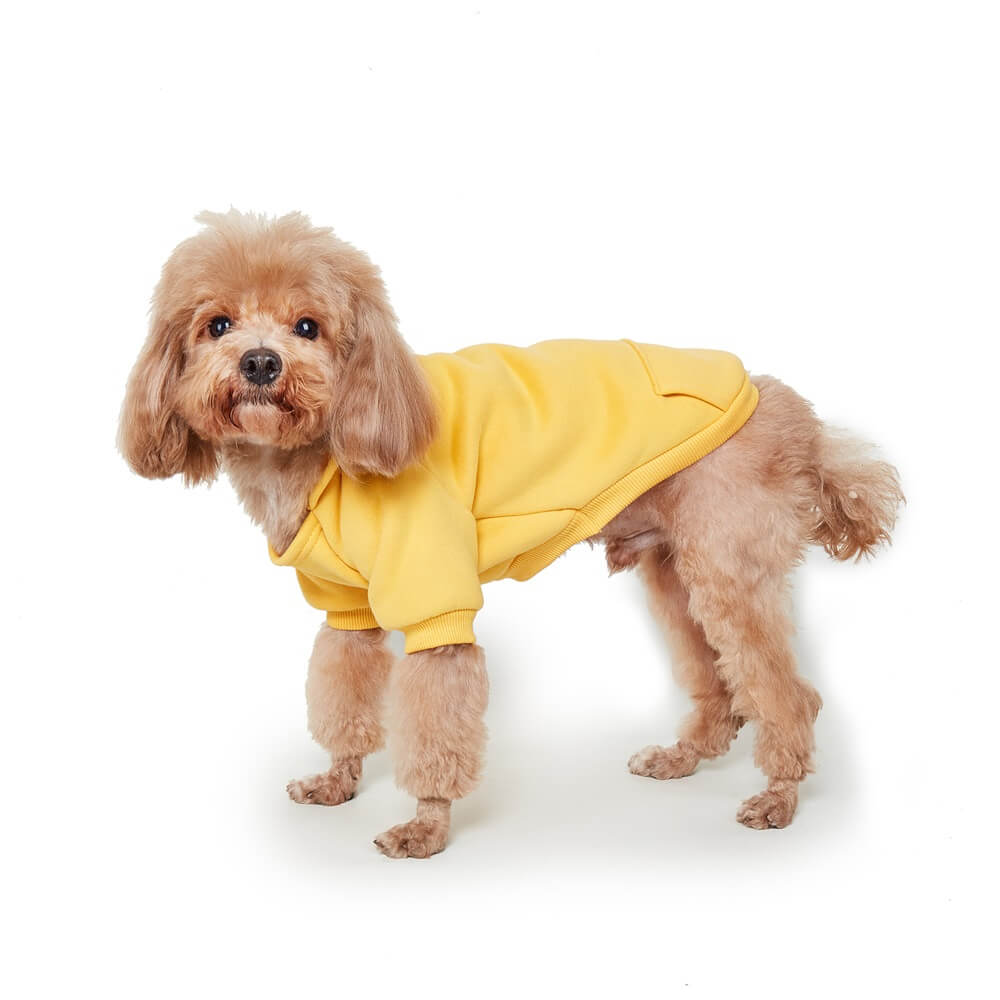 Cozy Solid Color Dog Hoodie – Available in Four Colors