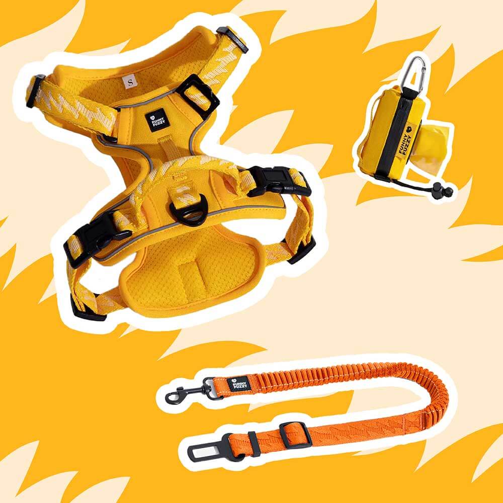 Yellow & Blue - Be Seen Walking Kit - 3pcs