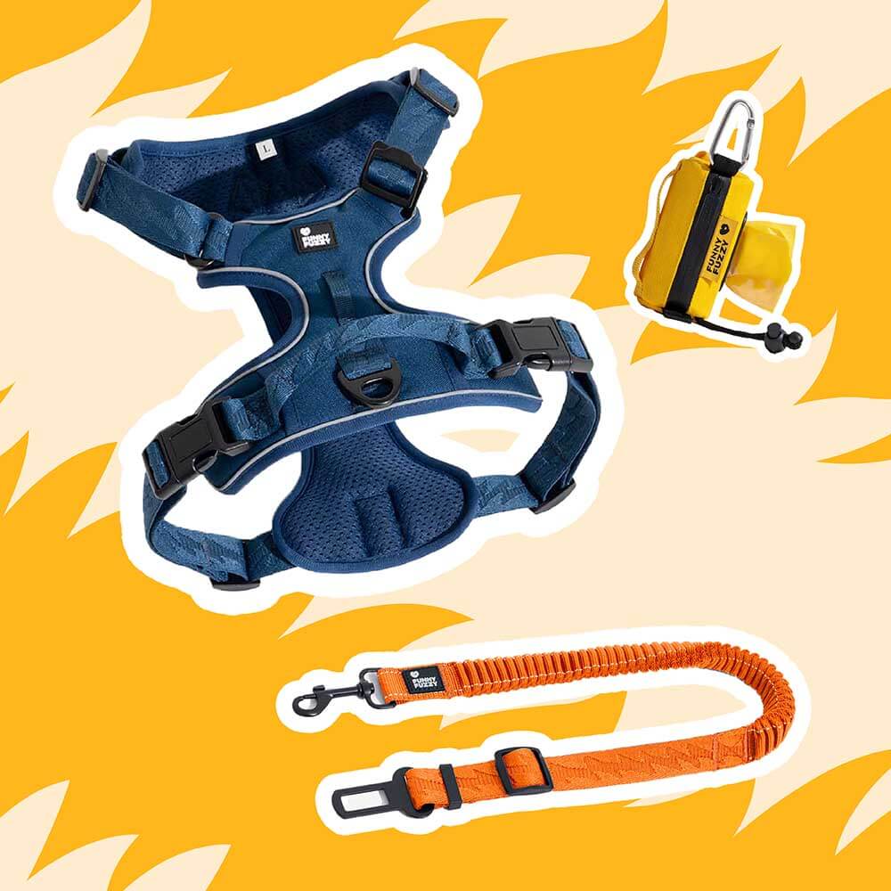 Yellow & Blue - Be Seen Walking Kit - 3pcs