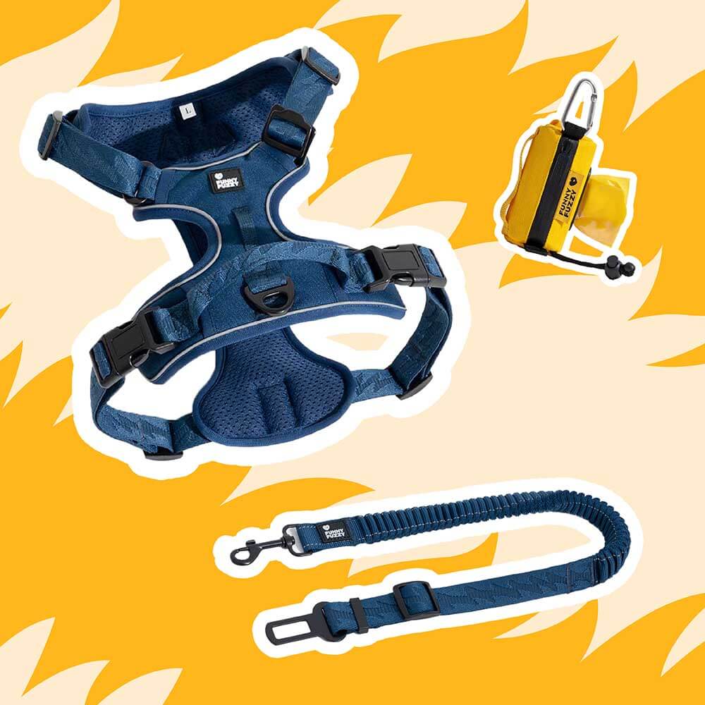 Yellow & Blue - Be Seen Walking Kit - 3pcs