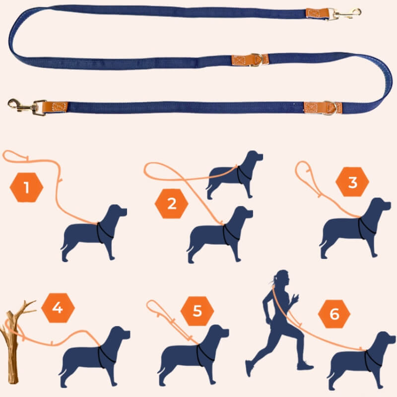 Anti Pull Dog Harness Walk Set