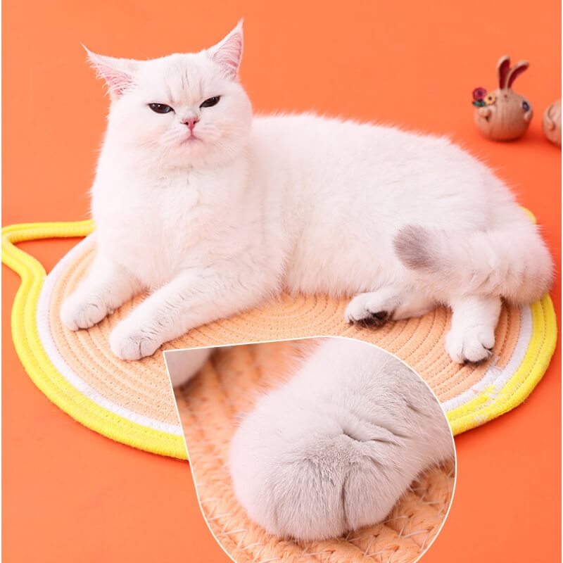 Tapis de corde en coton tissé en forme d'oreilles de chat, tapis à gratter pour chat