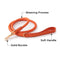 Collier et laisse pour chiot en faux cuir tissé à la main, ensemble de promenade pour chien